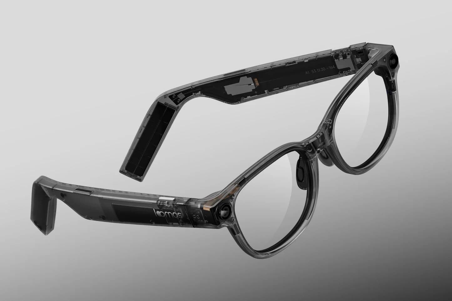 AI Glasses
